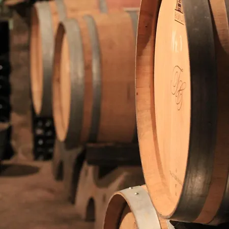 Krancher Rüdesheim am Rhein